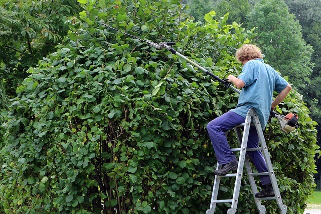 Gardener Working Gardener Working