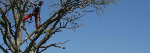 header5